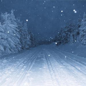 久久性爱一级黄片
