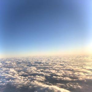 久久性爱一级黄片
